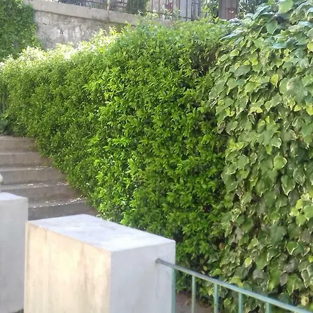 Apartmán Tessa *
